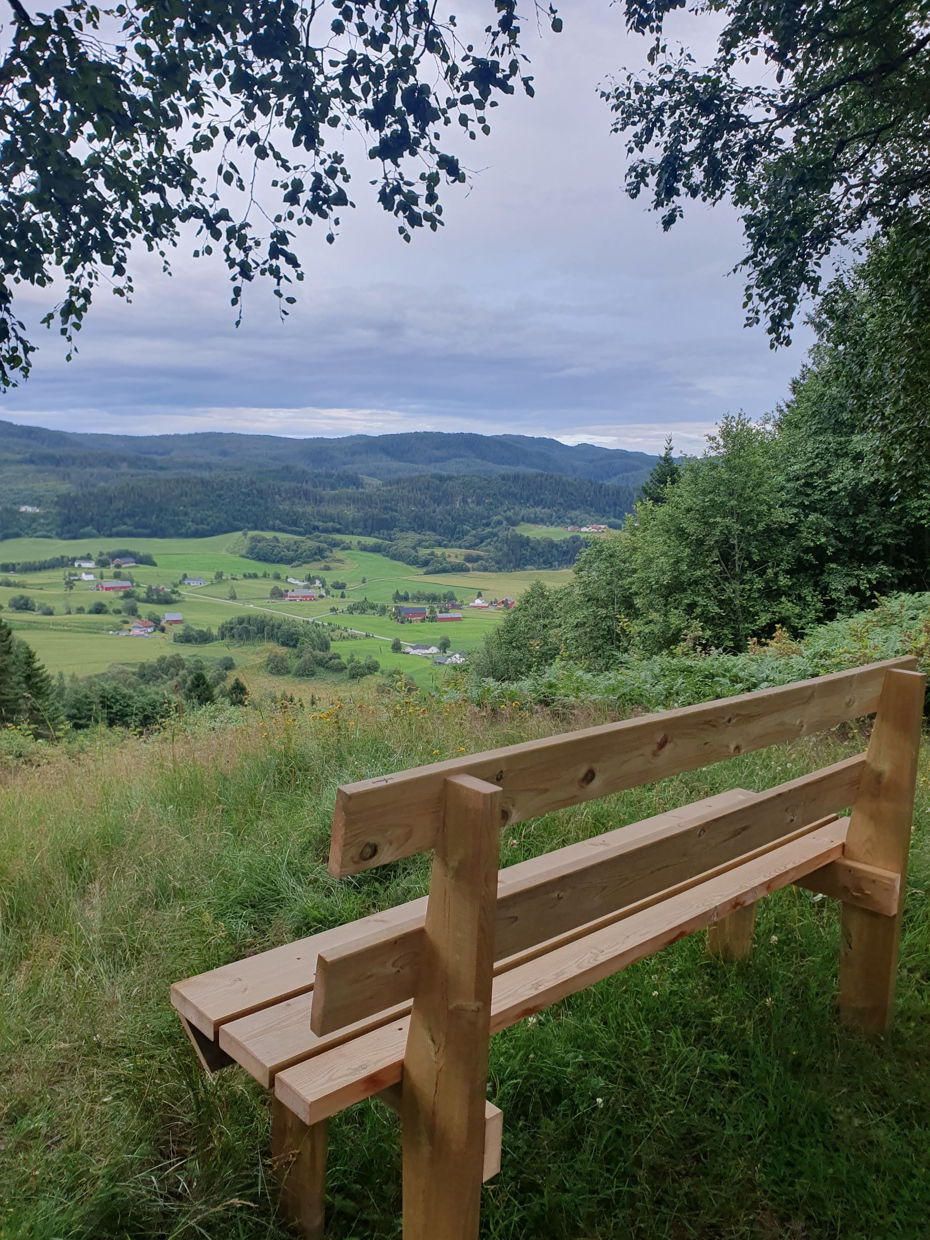 Ny benk på Blukkuåsen